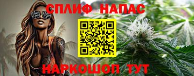 гашик Малоярославец