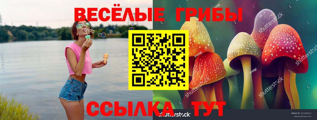 Псилоцибиновые грибы Psilocybine cubensis  Псилоцибиновые грибы прущие грибы  Вход с VPN  где можно купить   Южно-Сахалинск 